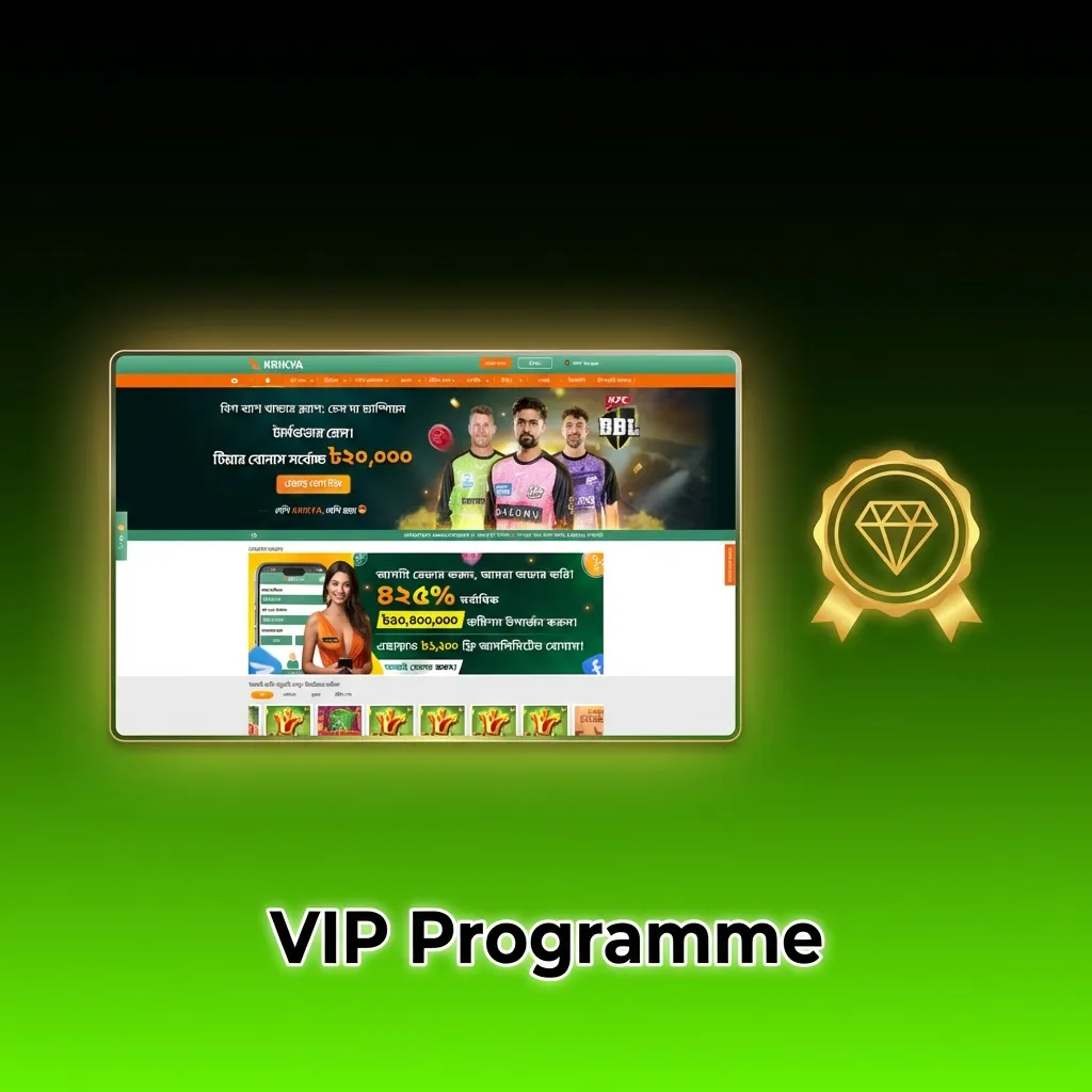 Seven-tier VIP loyalty programme showing progression from Bronze to Legend levels with increasing rewards and benefits